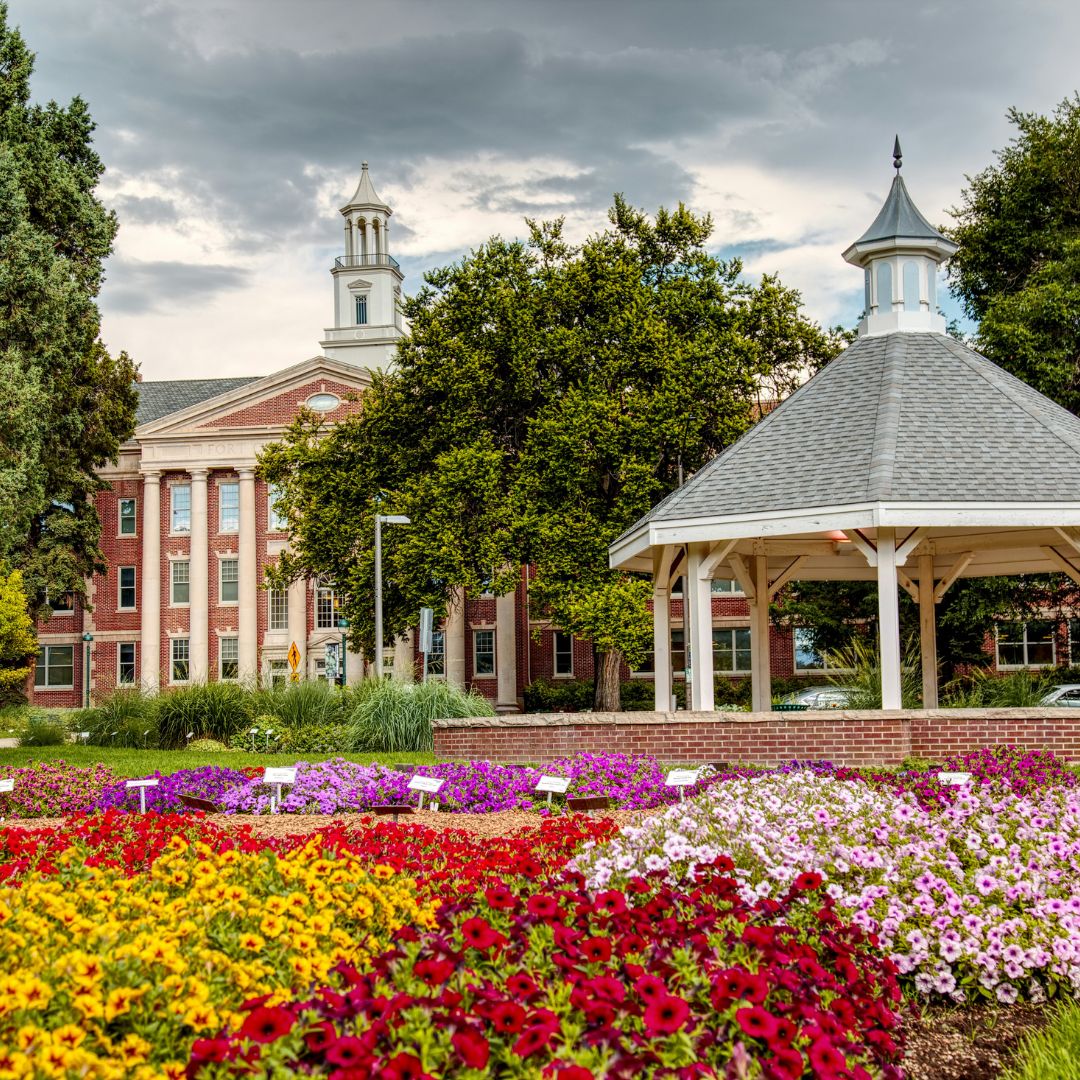 csu flower garde