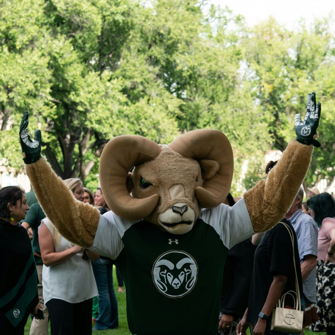 csu rams mascot