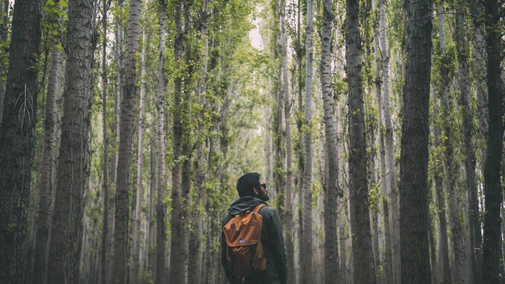 hiking in forest