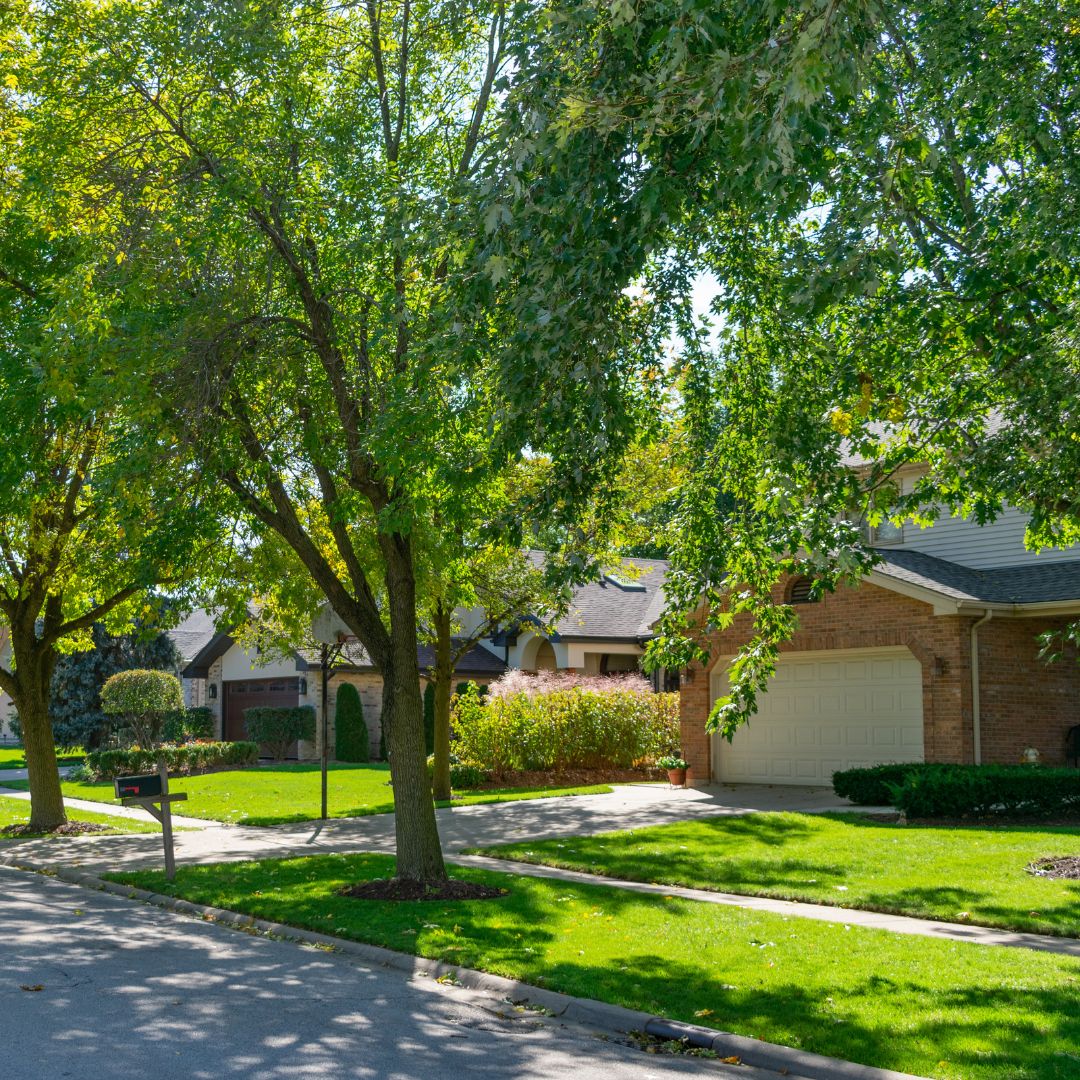 Fort Collins rental homes.